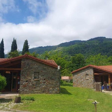 Chalets A 10 Minutes De Foix Mercus-Garrabet Exteriör bild